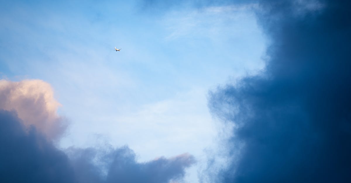 découvrez les destinations de rêve qui vous feront voyager au-delà de l'imaginaire. que vous recherchiez des plages paradisiaques, des paysages époustouflants ou des cultures fascinantes, explorez notre sélection d'endroits enchanteurs à visiter absolument.