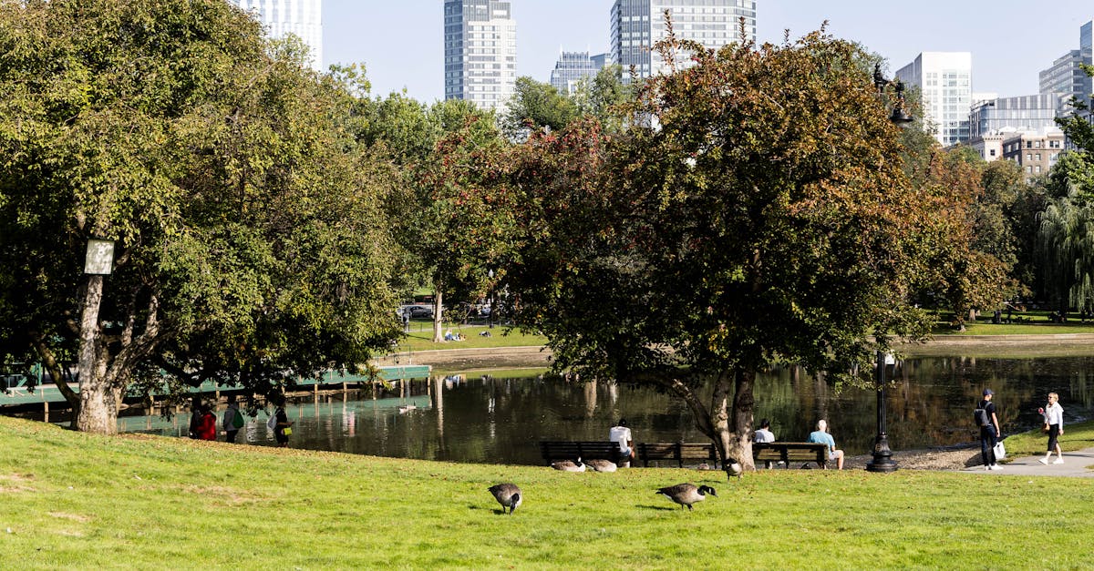découvrez les meilleures destinations familiales pour des vacances inoubliables. explorez des lieux adaptés aux enfants, des activités amusantes et des hébergements confortables qui raviront petits et grands.