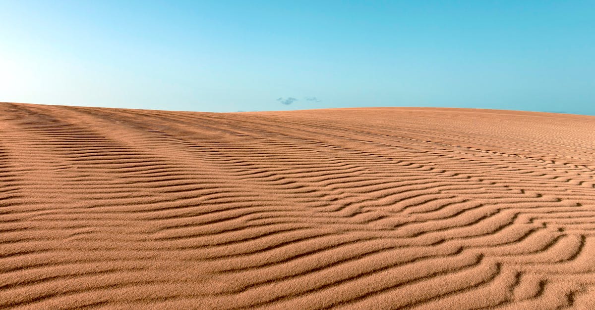 découvrez fuerteventura, une île des canaries célèbre pour ses plages de sable blanc, ses paysages désertiques et ses eaux cristallines. profitez d'activités de plein air, de sports nautiques et d'une culture local riche qui séduira les amateurs de détente et d'aventure.