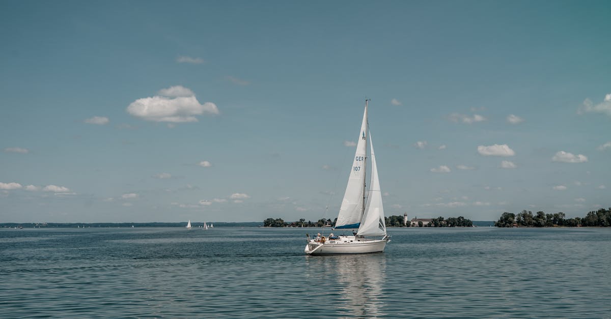 découvrez le gers, une région magnifique du sud-ouest de la france, célèbre pour ses paysages verdoyants, sa gastronomie savoureuse et son patrimoine culturel riche. explorez les villages pittoresques, savourez des spécialités locales comme le foie gras et le vin armagnac, et profitez d'activités en plein air dans ce cadre idyllique.