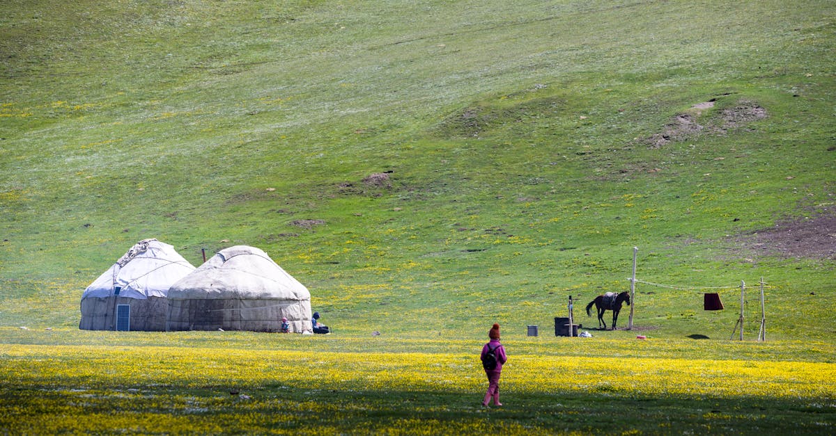 découvrez le gers, une région riche en culture et en paysages enchanteurs. entre ses villages pittoresques, sa gastronomie savoureuse et ses traditions authentiques, le gers vous invite à un voyage inoubliable au cœur du sud-ouest de la france.