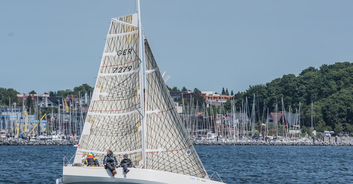 découvrez le gers, un département du sud-ouest de la france, célèbre pour sa nature préservée, ses paysages vallonnés et son riche patrimoine historique. parfait pour les amateurs de gastronomie, d'activités en plein air et de culture, le gers vous invite à explorer ses bastides, ses vignobles et sa douceur de vivre.