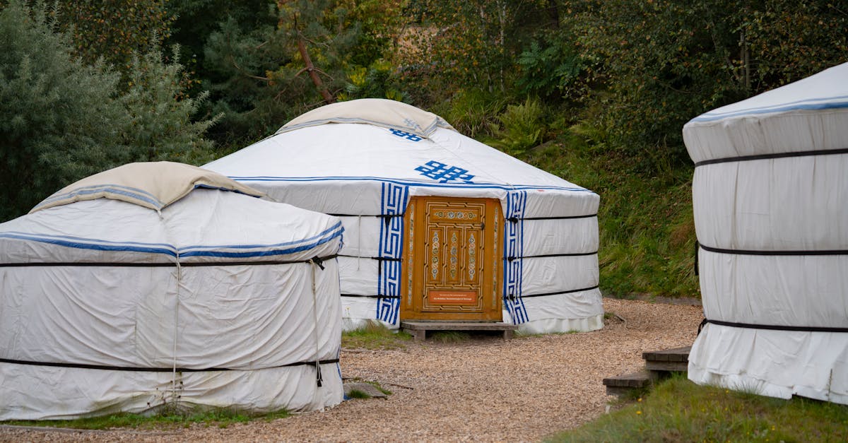 découvrez le gers, un département rural captivant du sud-ouest de la france, réputé pour ses paysages vallonnés, sa gastronomie savoureuse, et son riche patrimoine culturel. explorez ses bastides charmantes, savourez le célèbre foie gras et profitez des nombreuses activités en plein air dans ce coin authentique de la france.