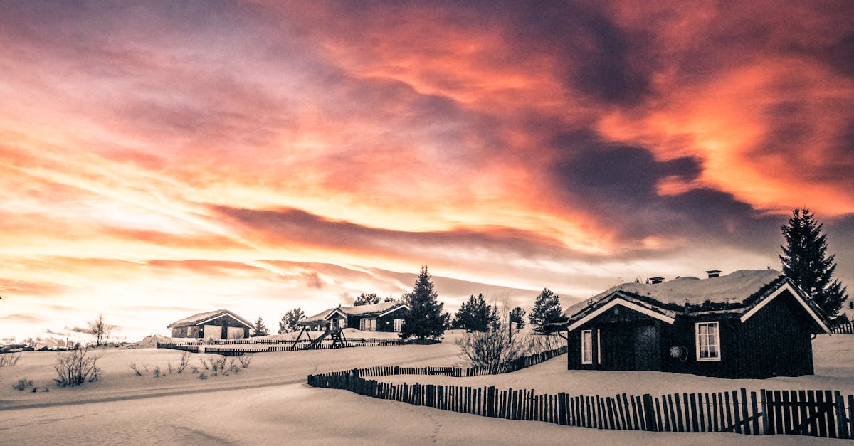 découvrez la beauté époustouflante de la norvège, un pays aux paysages à couper le souffle, des fjords majestueux aux aurores boréales envoûtantes. explorez les richesses culturelles, l'histoire fascinante et les aventures en plein air que cette destination unique a à offrir.