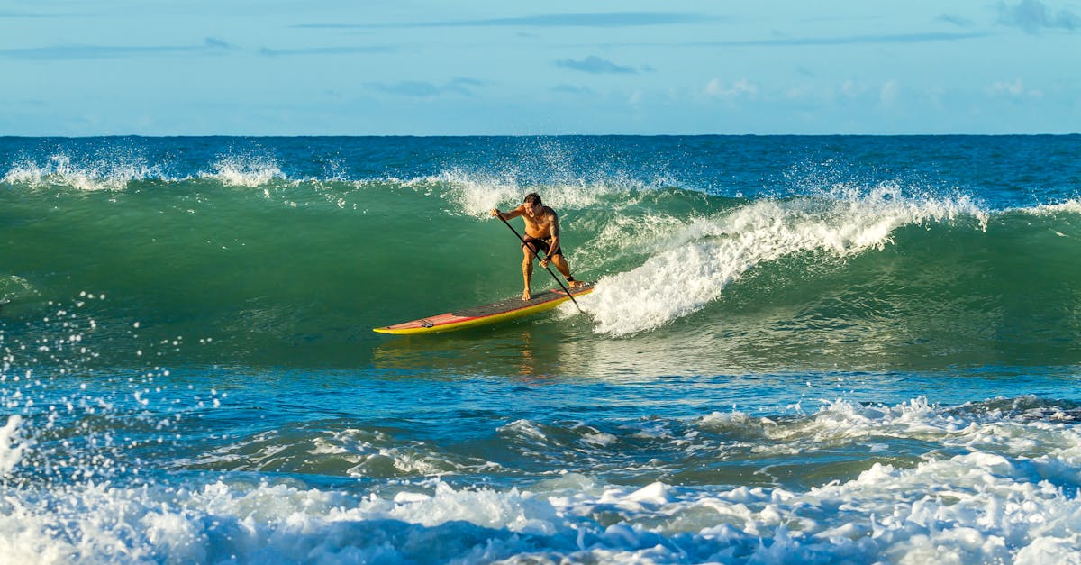 découvrez tout ce qu'il faut savoir sur le paddle, un sport aquatique ludique et accessible à tous. apprenez les techniques de glisse, les meilleurs conseils pour bien débuter et les spots incontournables pour pratiquer le paddle en toute sécurité.