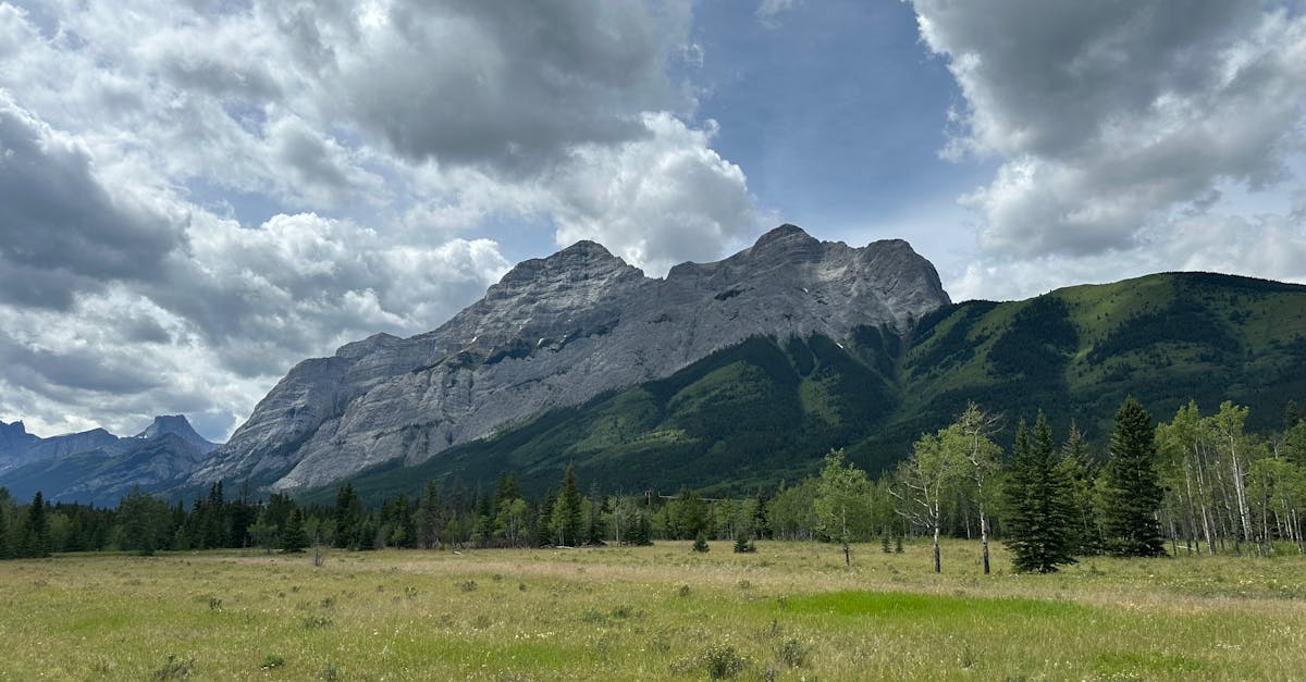 découvrez des panoramas à couper le souffle qui vous transportent au cœur des paysages les plus majestueux de la nature. explorez des vues imprenables et laissez-vous émerveiller par la beauté du monde qui vous entoure.