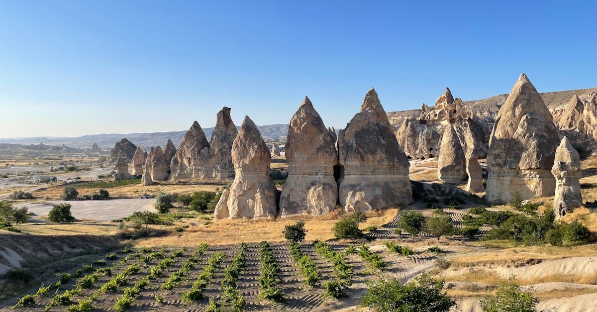 découvrez des panoramas à couper le souffle qui capturent la beauté du monde. explorez des paysages époustouflants, des vues à 360 degrés et des moments inoubliables à travers nos galeries de panoramas.