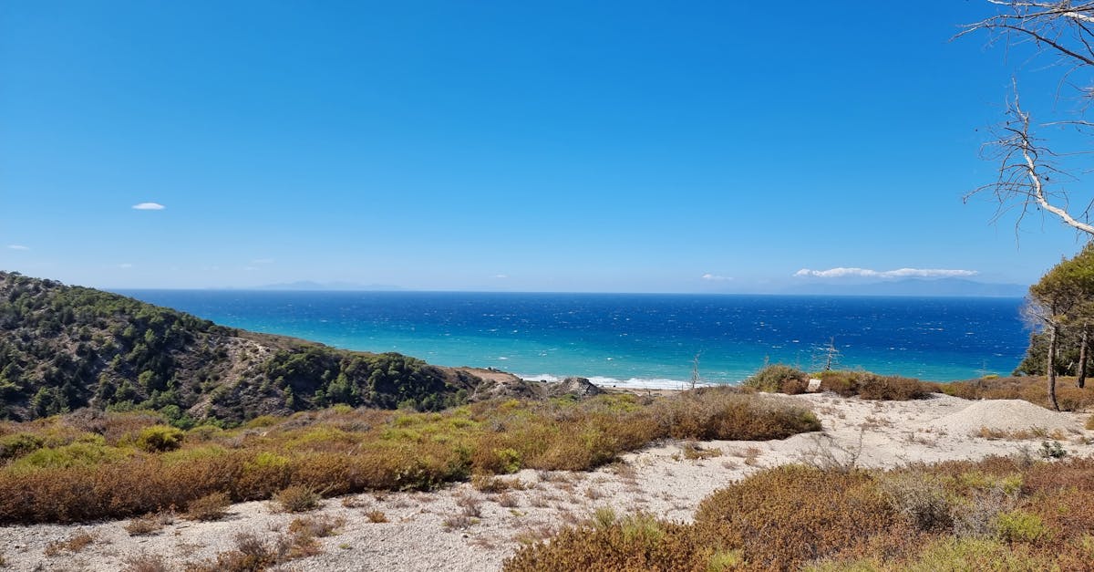 découvrez rhodes, une île grecque à la beauté envoûtante, réputée pour ses plages ensoleillées, son riche patrimoine historique et son ambiance méditerranéenne. explorez ses sites antiques, savourez la cuisine locale et plongez dans des eaux turquoise. une destination idéale pour les amoureux de la nature et de la culture.
