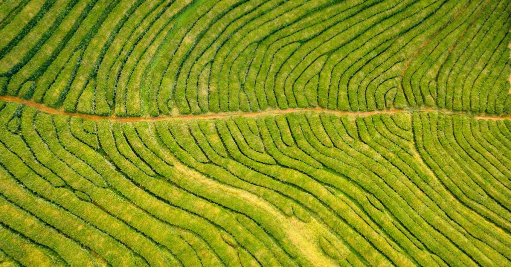 découvrez são miguel, la plus grande île des açores, réputée pour ses paysages à couper le souffle, ses lacs volcaniques et sa riche biodiversité. profitez des sources thermales et des jardins luxuriants dans cet eden naturel.