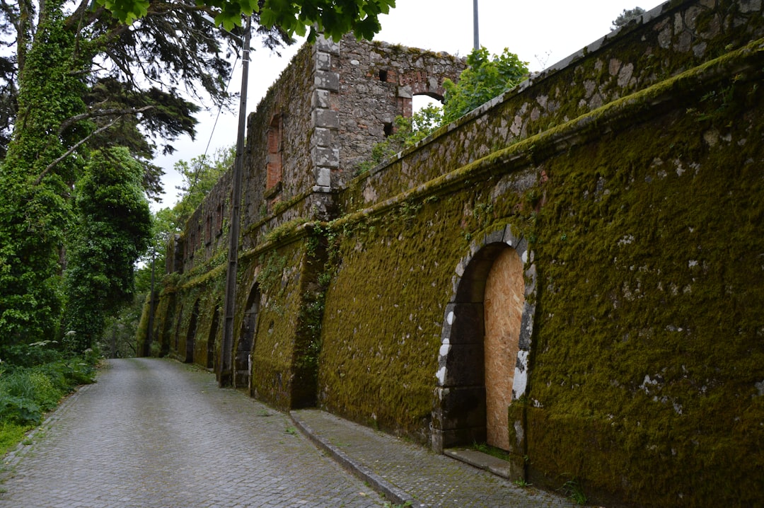 découvrez sintra, une charmante ville portugaise classée au patrimoine mondial de l'unesco, célèbre pour ses palais colorés, ses jardins luxuriants et ses paysages enchanteurs. explorez l'histoire fascinante et la beauté naturelle de cette destination incontournable.