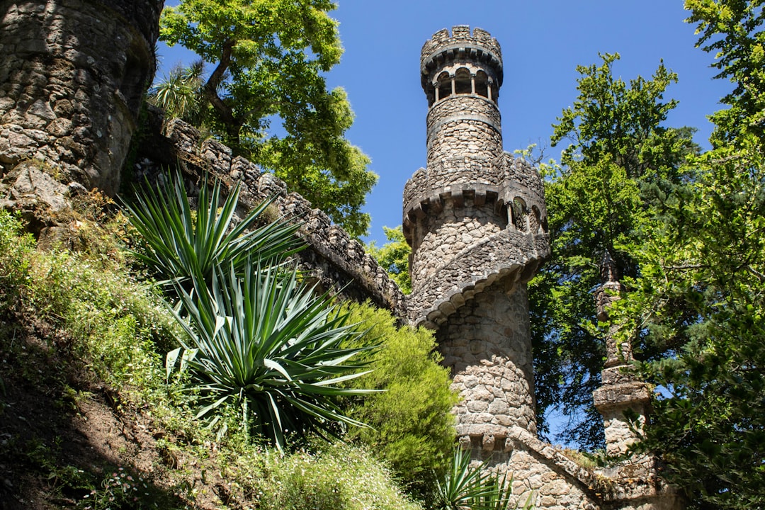 découvrez sintra, une ville magique du portugal, célèbre pour ses palais enchanteurs, ses paysages verdoyants et son riche patrimoine culturel. explorez des sites emblématiques comme le palais de pena et le château des maures tout en profitant de l'atmosphère romantique de cette destination incontournable.