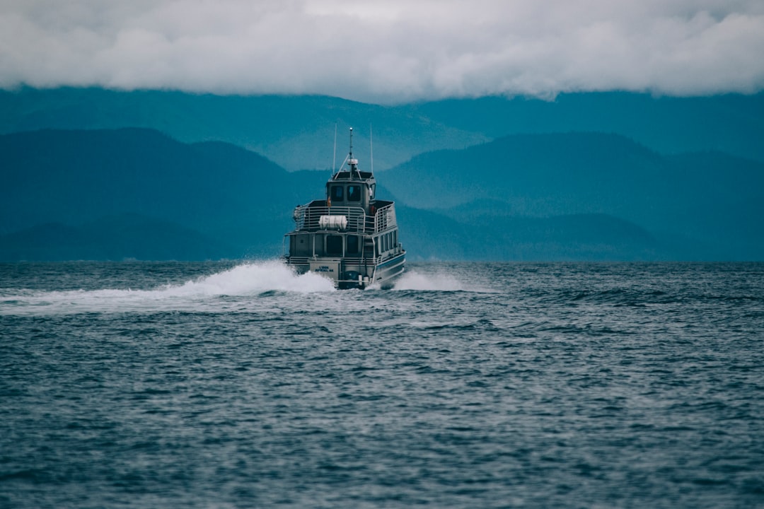 découvrez l'excitation de l'observation des baleines avec nos excursions inoubliables. plongez dans l'univers marin et observez de majestueuses baleines dans leur habitat naturel. une expérience unique pour les amoureux de la nature et les aventuriers!