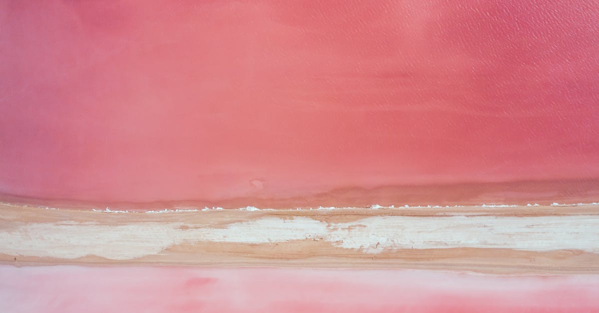 découvrez le yeucatan, une destination riche en culture et en histoire, célèbre pour ses pyramides mayas, ses plages paradisiaques et sa cuisine délicieuse. explorez ses paysages époustouflants et vivez une expérience inoubliable au cœur de cette région fascinante du mexique.