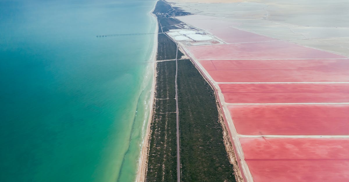 découvrez le yucatán, une destination envoûtante au cœur du mexique, célèbre pour ses plages de sable blanc, ses sites archéologiques mayas et sa culture vibrante. explorez les cenotes, savourez la cuisine locale et plongez dans l'histoire fascinante de cette région unique.