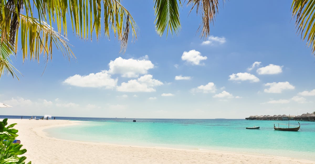 découvrez nos conseils et idées pour des vacances inoubliables, des destinations exotiques aux escapades locales. planifiez votre prochain voyage avec nos astuces et inspirations sur les meilleures activités, hébergements et expériences à vivre lors de vos vacances.