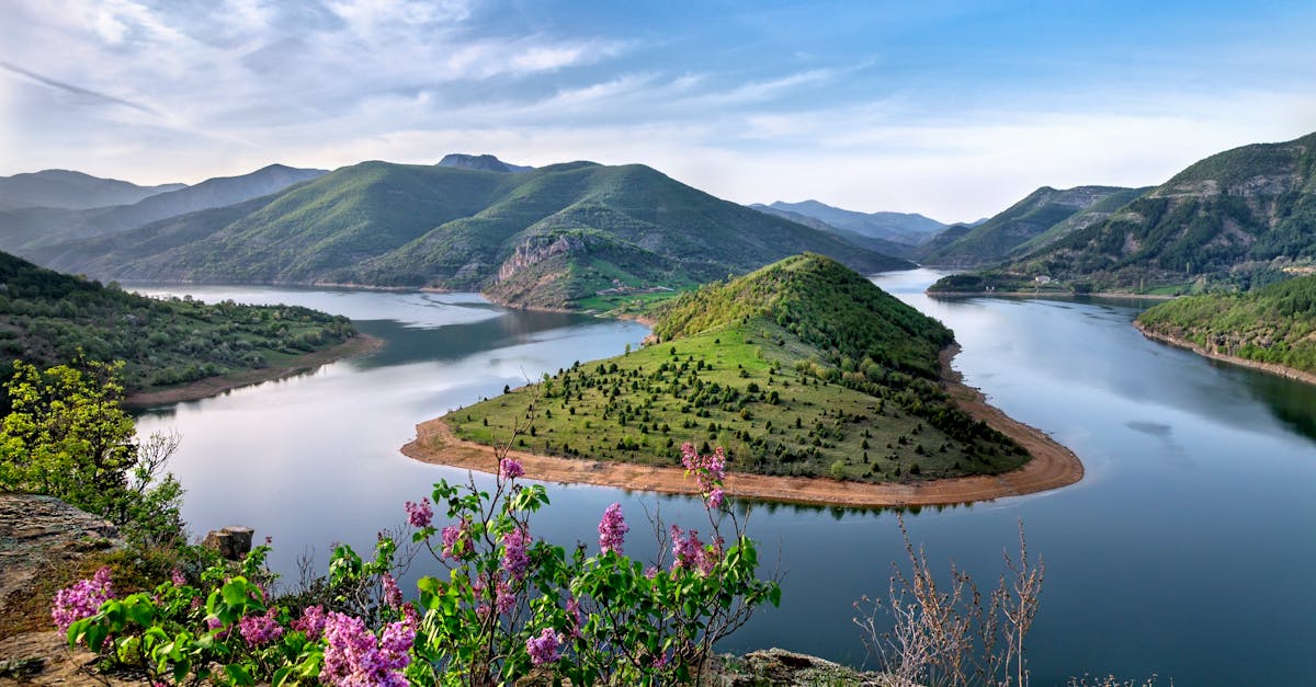 découvrez un monde idyllique où la paix et la beauté naturelle se rencontrent. plongez dans un univers de sérénité et d'harmonie, où chaque instant est une invitation à la rêverie.