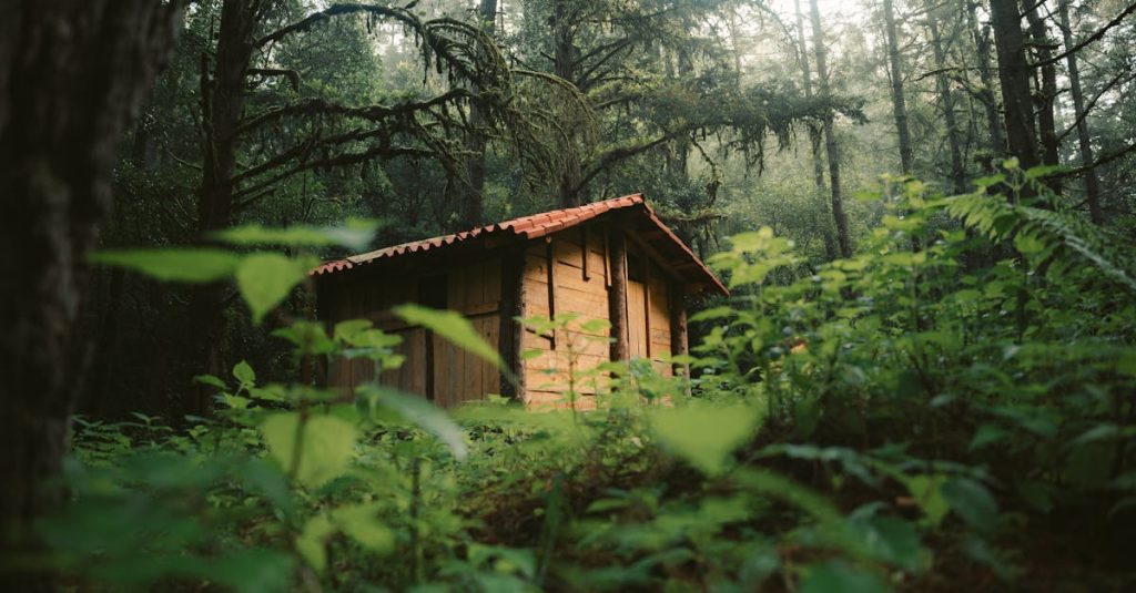 découvrez un monde idyllique où la beauté de la nature se mêle à des moments de sérénité. plongez dans des paysages enchanteurs, où chaque instant devient une expérience mémorable.