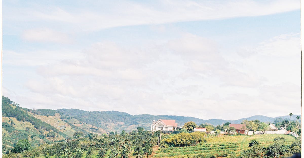 découvrez un monde idyllique où la beauté naturelle et la sérénité se rencontrent. plongez dans un environnement paisible, propice à la détente et à l'évasion.