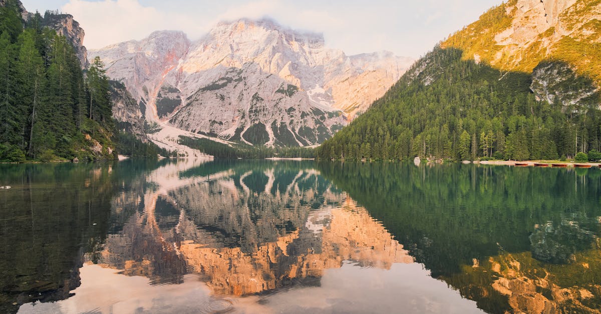 découvrez le monde d'idyllic, un havre de paix où nature et sérénité se rencontrent. plongez dans un univers de beauté et d'harmonie, idéal pour échapper au quotidien.