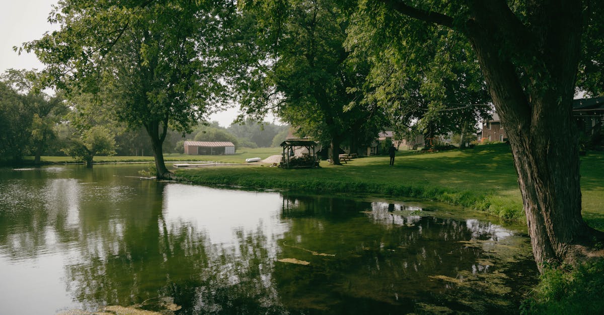 découvrez un monde idyllique où la beauté de la nature et la tranquillité s'entrelacent. plongez dans une ambiance sereine et éveillez vos sens au cœur de paysages enchanteurs.