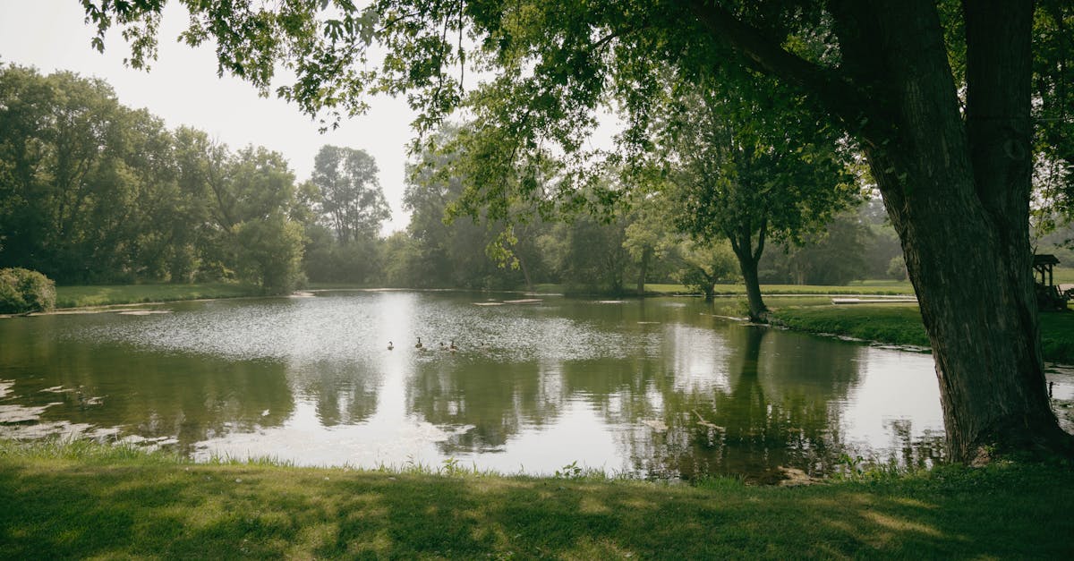 découvrez l'univers idyllique où la sérénité et la beauté naturelle se rencontrent. évadez-vous dans des lieux enchanteurs, idéaux pour une escapade romantique ou un moment de détente inoubliable.