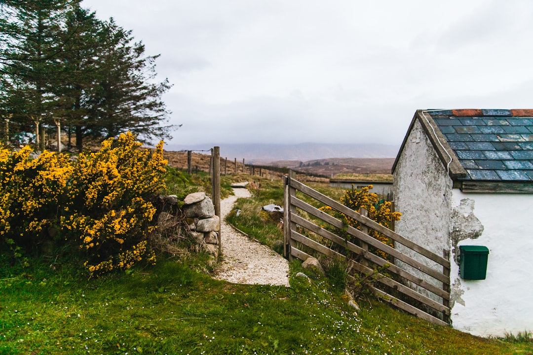 découvrez l'irlande, un pays fascinant à la nature verdoyante, aux paysages époustouflants, à la culture riche et à l'histoire captivante. explorez ses châteaux, ses villes animées et l'accueil chaleureux de ses habitants.