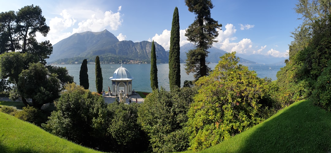 découvrez le bellagio, un hôtel emblématique de las vegas célèbre pour son élégance, son casino de luxe et ses spectaculaires fontaines musicales. vivez une expérience inoubliable au cœur du strip.