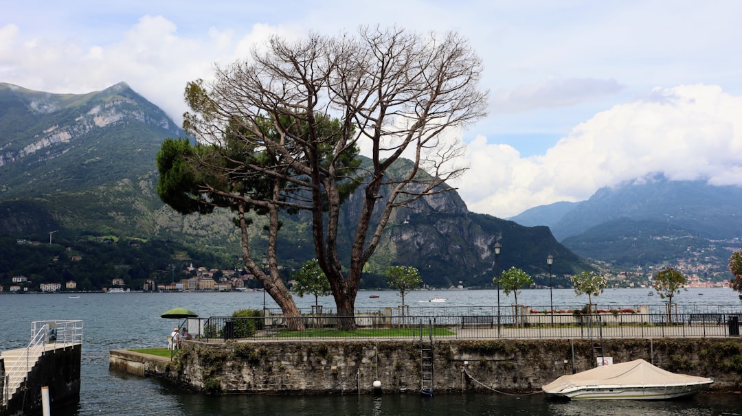 découvrez le bellagio, un hôtel de luxe emblématique à las vegas, célèbre pour ses fontaines spectaculaires, son casino élégant et ses restaurants gastronomiques. profitez d'un séjour inoubliable au cœur du strip.
