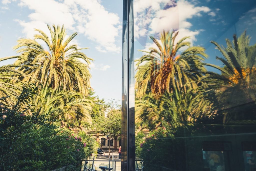 découvrez les meilleures destinations ensoleillées pour vos prochaines vacances : plages paradisiaques, activités sous le soleil et conseils de voyage pour profiter pleinement de chaque moment.