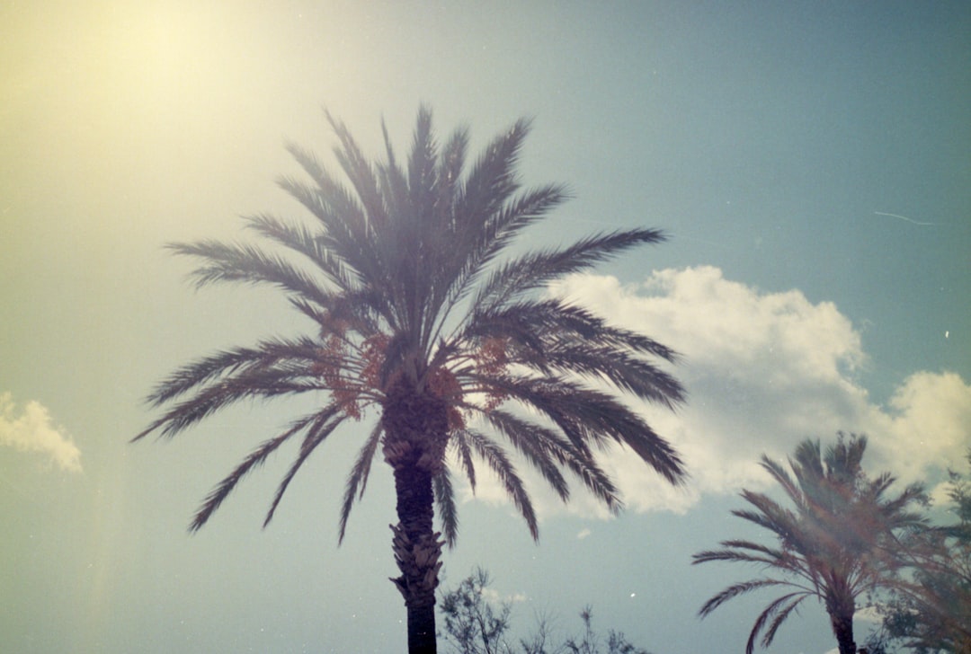 découvrez les destinations ensoleillées idéales pour vos prochaines vacances : plages de rêve, villes animées et climat parfait toute l'année. inspirez-vous pour votre prochain voyage au soleil !