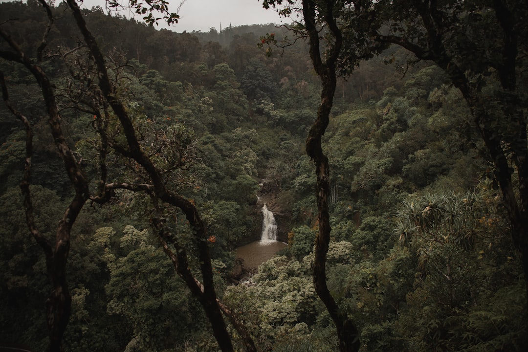 découvrez les wonders, ces merveilles qui fascinent et inspirent à travers le monde. explorez leur histoire, leurs secrets et les raisons de leur renommée internationale dans notre article dédié.