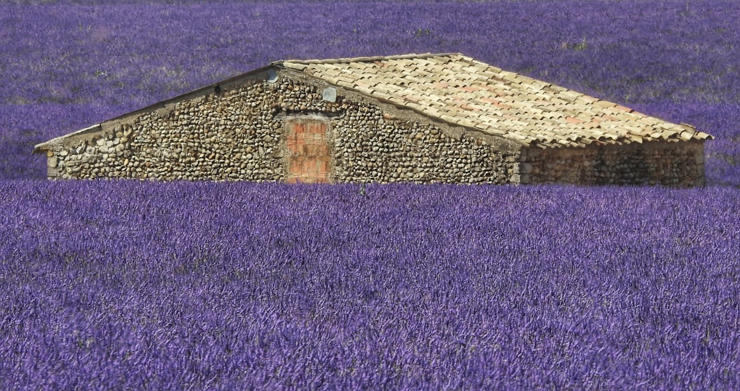 découvrez les trésors cachés de la provence, des lieux secrets et authentiques à explorer loin des sentiers battus.