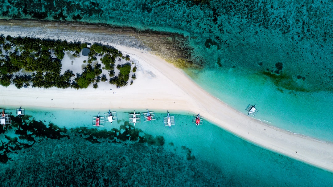 découvrez les plages tropicales paradisiaques, leurs eaux cristallines et leurs paysages exotiques pour une escapade inoubliable sous le soleil.
