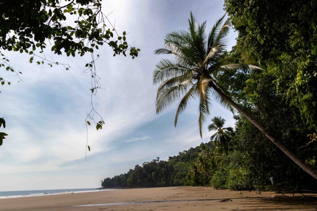 découvrez les plages tropicales paradisiaques, avec leurs eaux turquoise, leurs sable blanc et leurs paysages exotiques parfaits pour des vacances inoubliables.