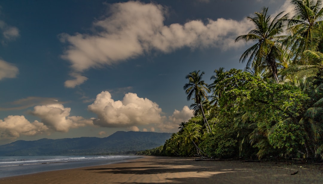 découvrez les plages tropicales paradisiaques, leurs sable fin, eaux cristallines et paysages exotiques pour des vacances inoubliables.