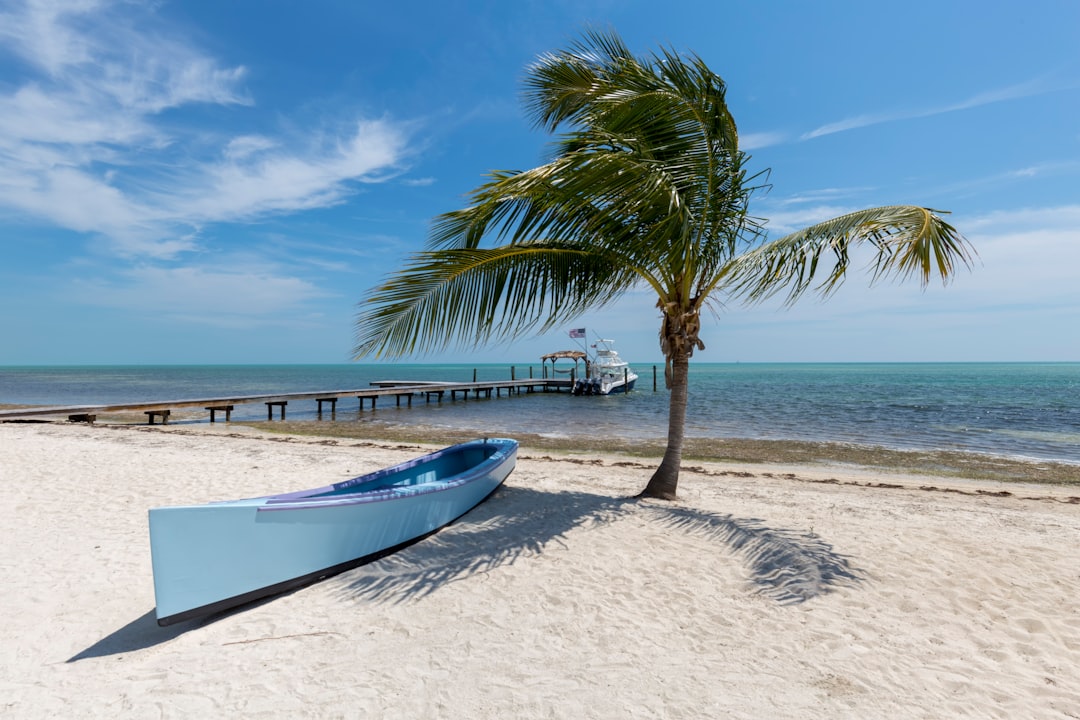 découvrez les plages tropicales paradisiaques, leurs eaux cristallines, sables blancs et paysages exotiques pour des vacances inoubliables.