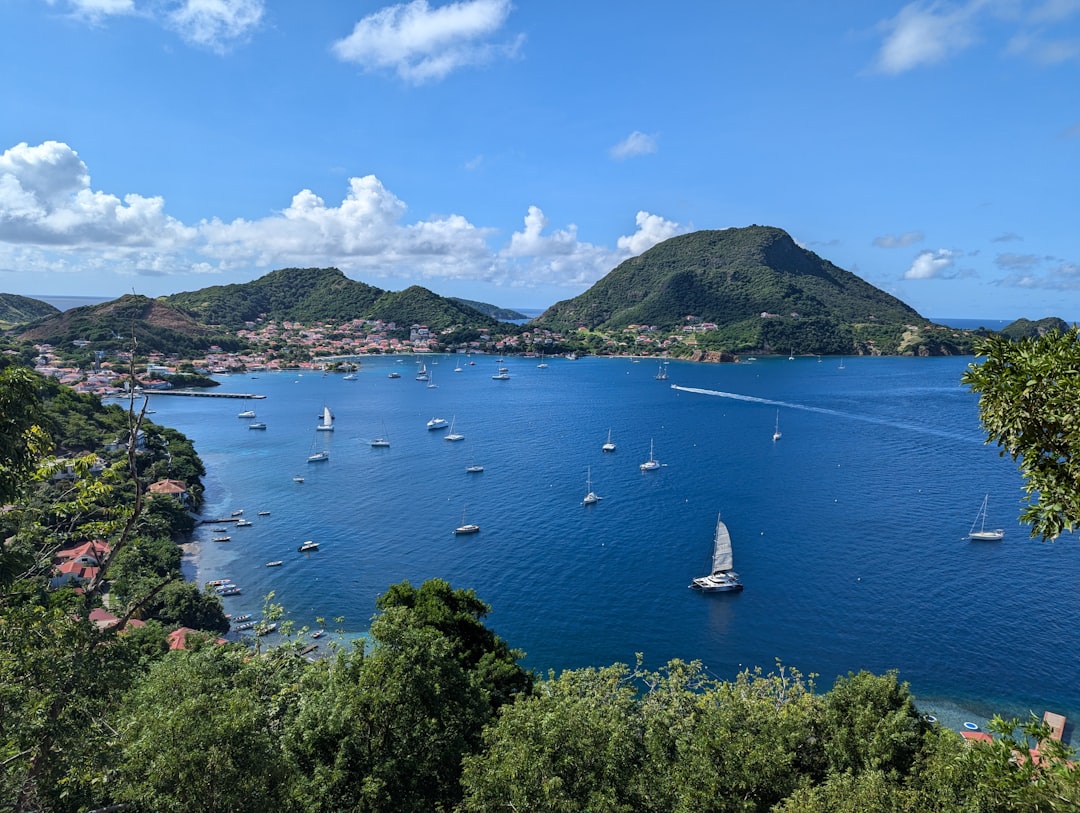découvrez la meilleure période pour visiter la guadeloupe afin de profiter d'un climat idéal, de plages paradisiaques et d'une ambiance authentique toute l'année.