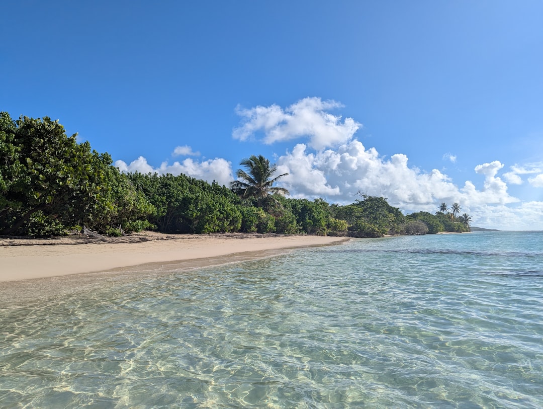 découvrez la meilleure période pour visiter la guadeloupe et profiter pleinement de ses plages paradisiaques, son climat tropical et ses nombreuses activités culturelles et naturelles.