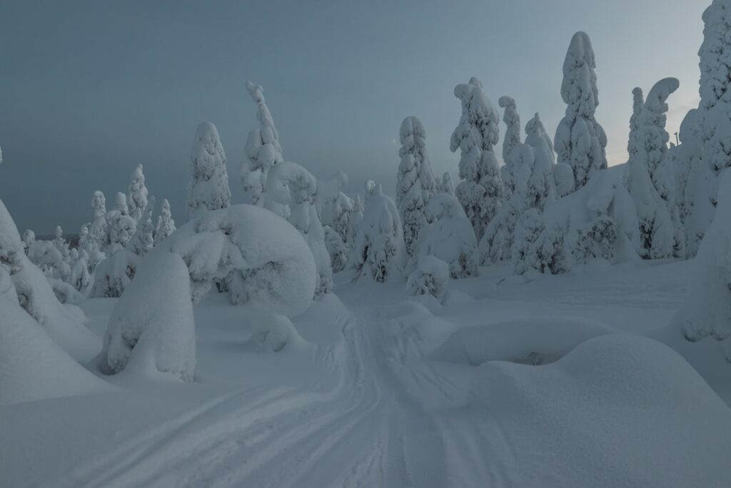 découvrez la beauté sauvage de la laponie finlandaise : aurores boréales, paysages enneigés, aventures hivernales et traditions uniques.