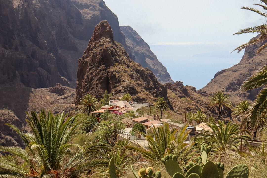 découvrez pourquoi visiter tenerife en février est l'idée parfaite : climat doux, paysages magnifiques et événements uniques vous attendent pour des vacances inoubliables.