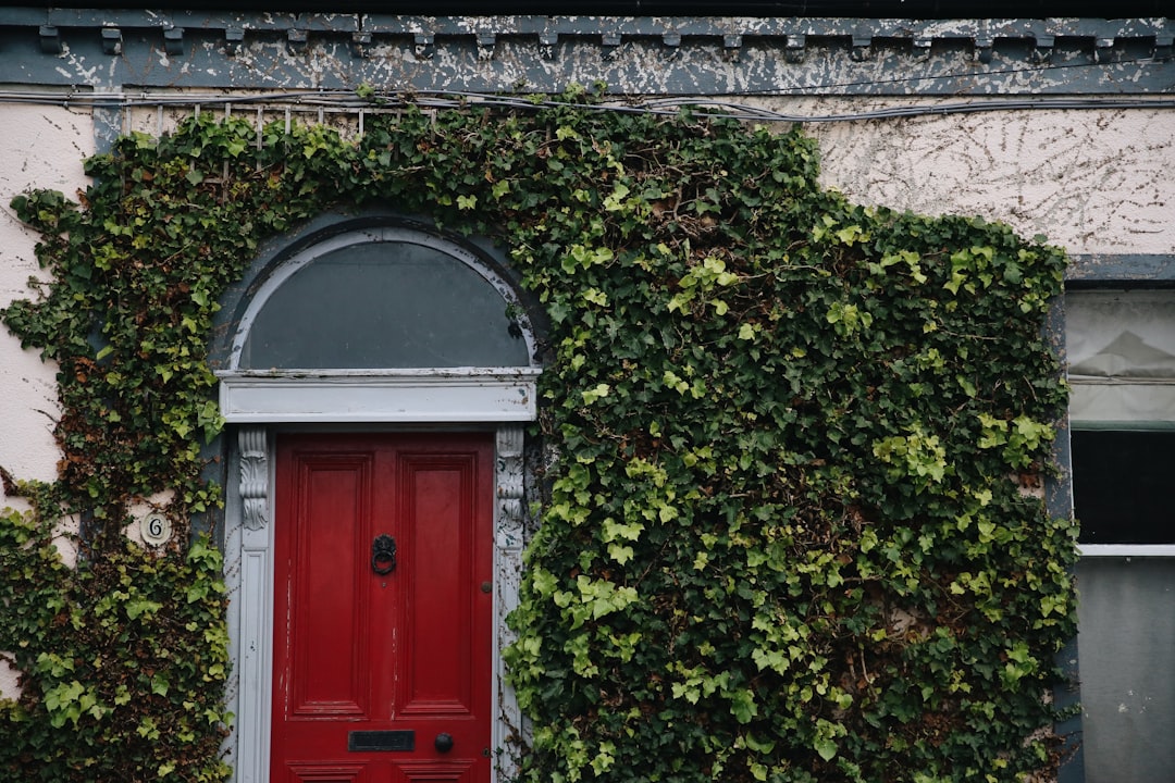 découvrez les meilleures options d'hébergement à dublin, alliant confort, emplacement idéal et excellent rapport qualité-prix pour un séjour inoubliable.