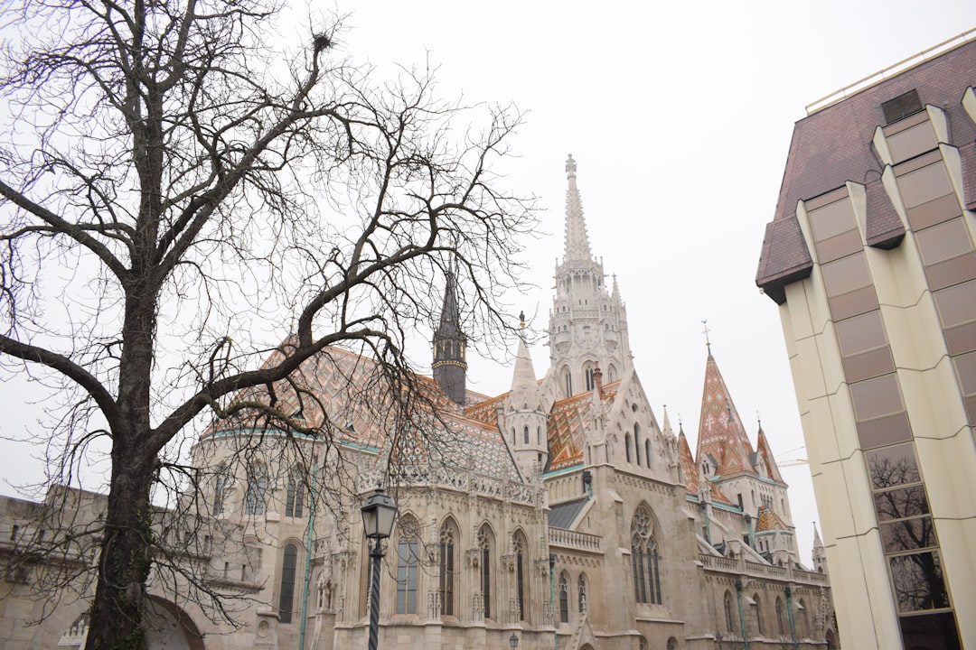 découvrez le château de buda, un symbole historique de budapest offrant une vue panoramique spectaculaire, une architecture impressionnante et un riche patrimoine culturel.