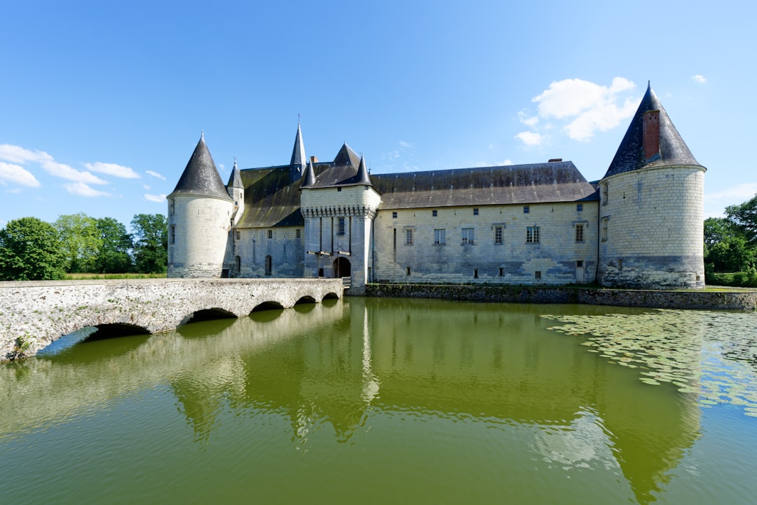 découvrez les magnifiques châteaux de la loire, joyaux historiques et architecturaux nichés au cœur de la vallée de la loire, entre nature et patrimoine exceptionnel.