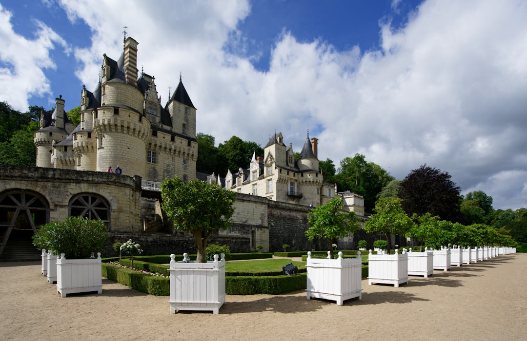 découvrez les magnifiques châteaux de la loire, joyaux d'histoire et d'architecture au cœur de la vallée de la loire, entre nature et patrimoine.
