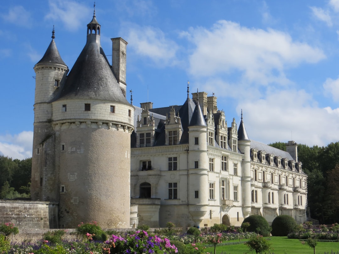 découvrez les magnifiques châteaux de la loire, joyaux historiques et architecturaux au cœur de la vallée de la loire, un incontournable pour les amateurs de culture et de patrimoine.