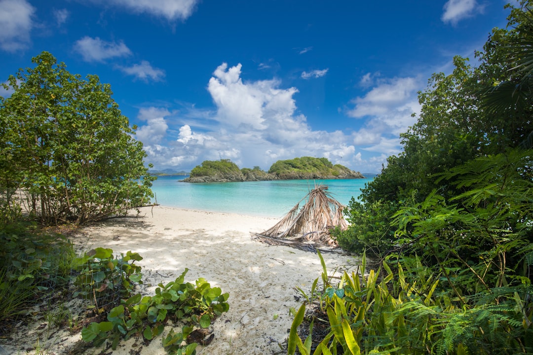 découvrez les plus belles plages, idéales pour se détendre, nager et profiter du soleil toute l'année.