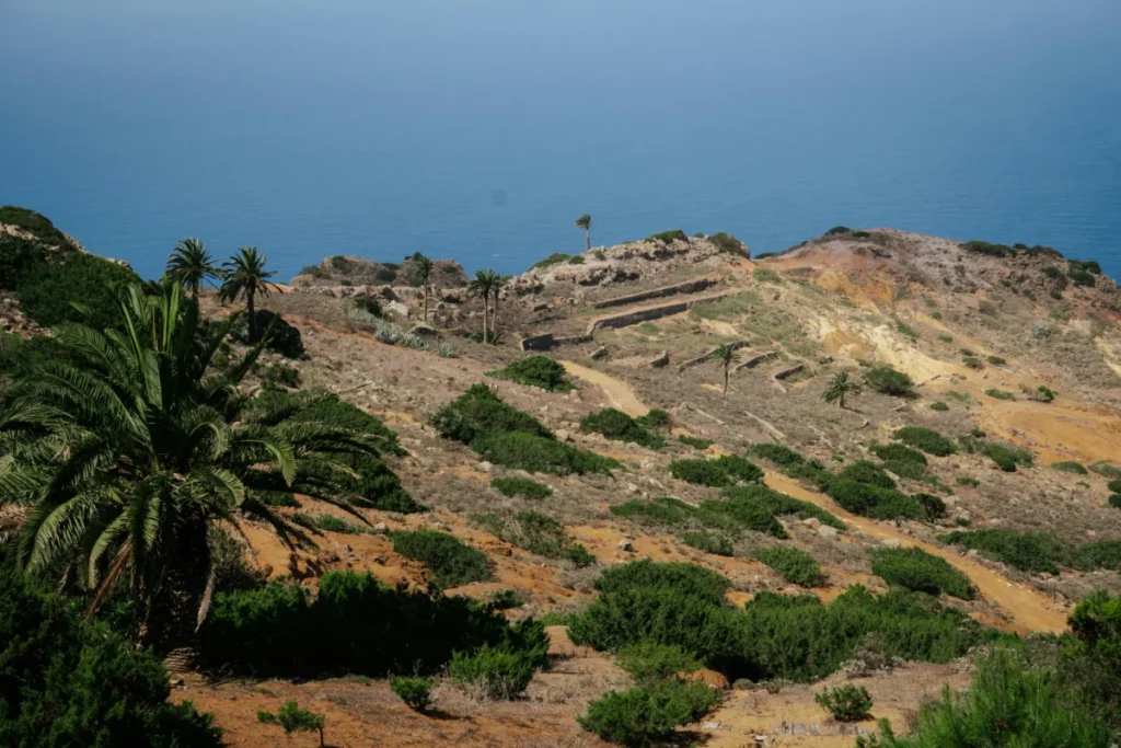Breathtaking view of terraced fields in Vallehermoso overlooking the Atlantic Ocean.