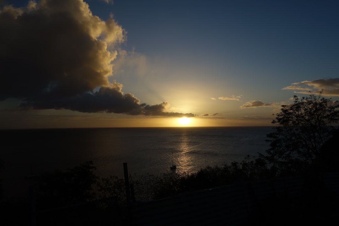 découvrez les meilleures options d'hébergement en martinique, des hôtels de charme aux locations de vacances, pour un séjour inoubliable au cœur des caraïbes.