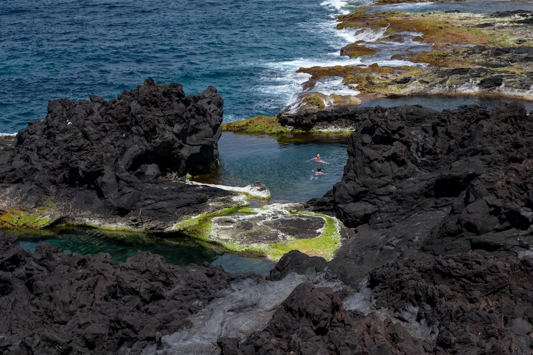 découvrez les piscines naturelles, une alternative écologique et esthétique aux piscines traditionnelles, intégrant plantes et filtration biologique pour un bain en harmonie avec la nature.