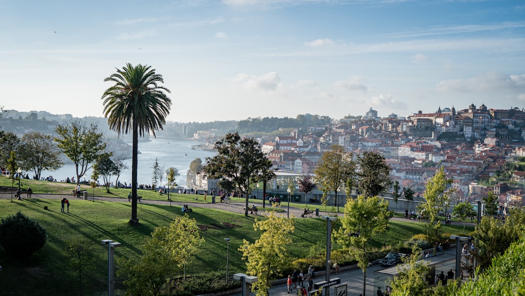 découvrez porto, une ville portuaire emblématique du portugal, célèbre pour son vin, son architecture historique et ses paysages pittoresques le long du fleuve douro.